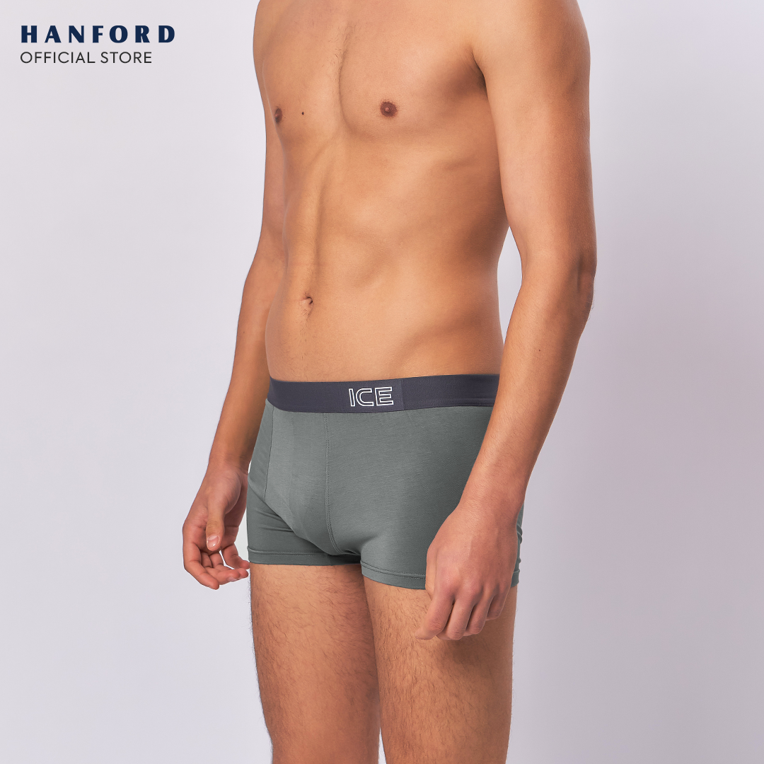 Hanford ICE Men Viscose w/ Spandex Boxer Briefs Dusty (Single Pack)