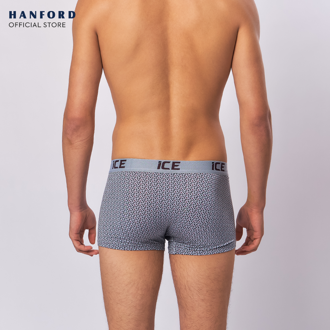 Hanford ICE Men Viscose w/ Spandex Boxer Briefs Triad - Glacier Gray (Single Pack)